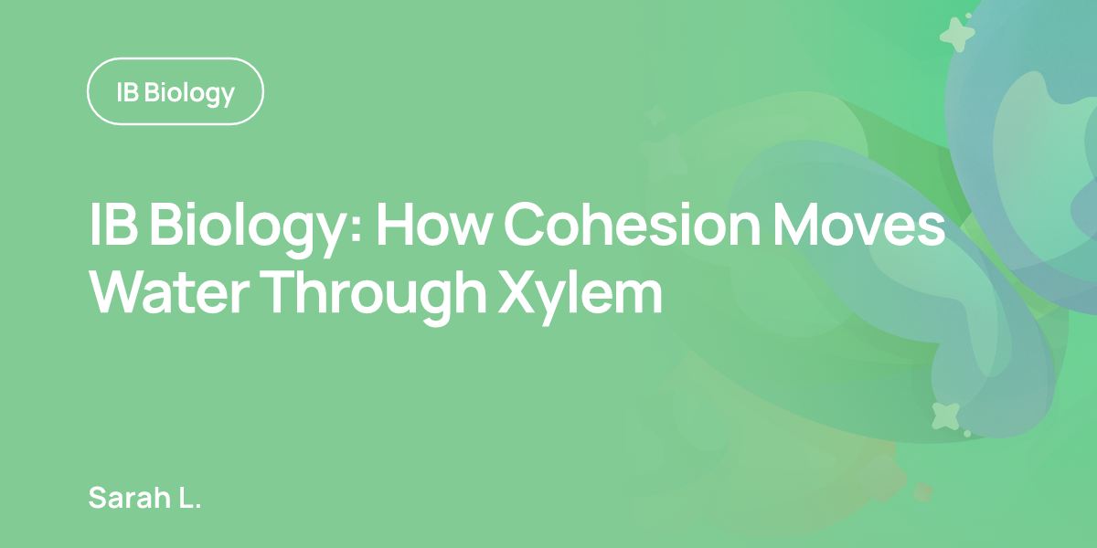 IB Biology: How Cohesion Moves Water Through Xylem
