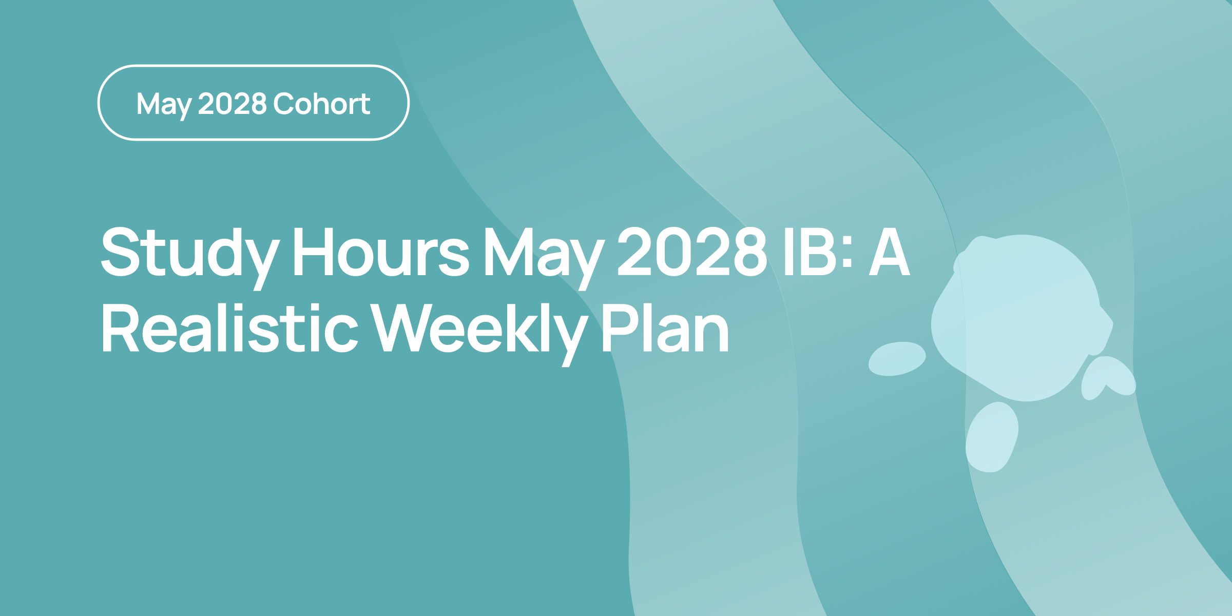 Study Hours May 2028 IB: A Realistic Weekly Plan | RevisionDojo
