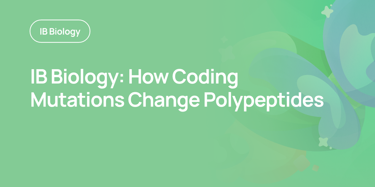 IB Biology: How Coding Mutations Change Polypeptides