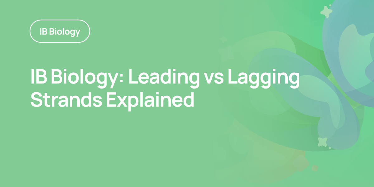 IB Biology: Leading vs Lagging Strands Explained