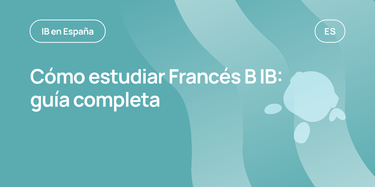Cómo estudiar Francés B IB: guía completa