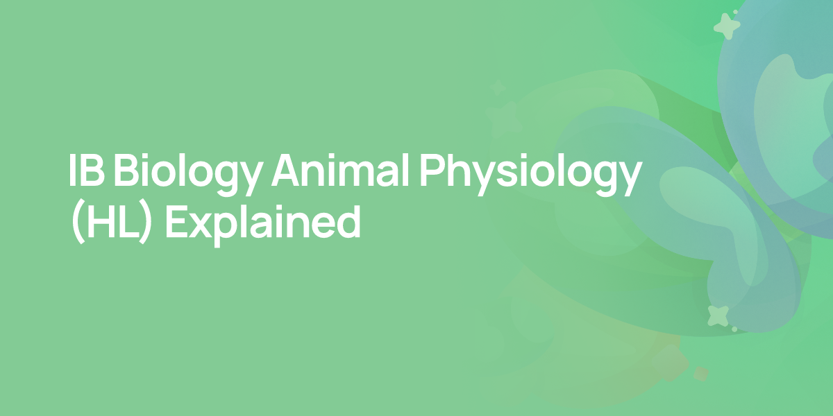 IB Biology Animal Physiology (HL) Explained