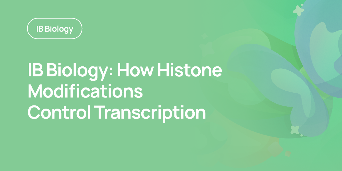 IB Biology: How Histone Modifications Control Transcription