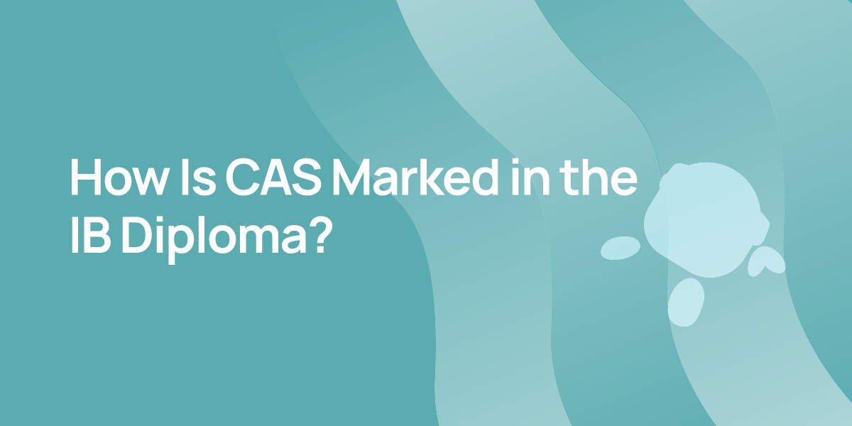 How Is CAS Marked in the IB Diploma?