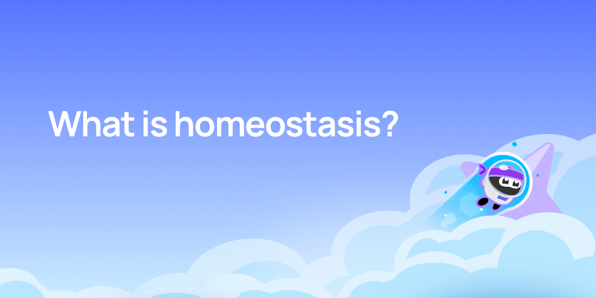 What is homeostasis?