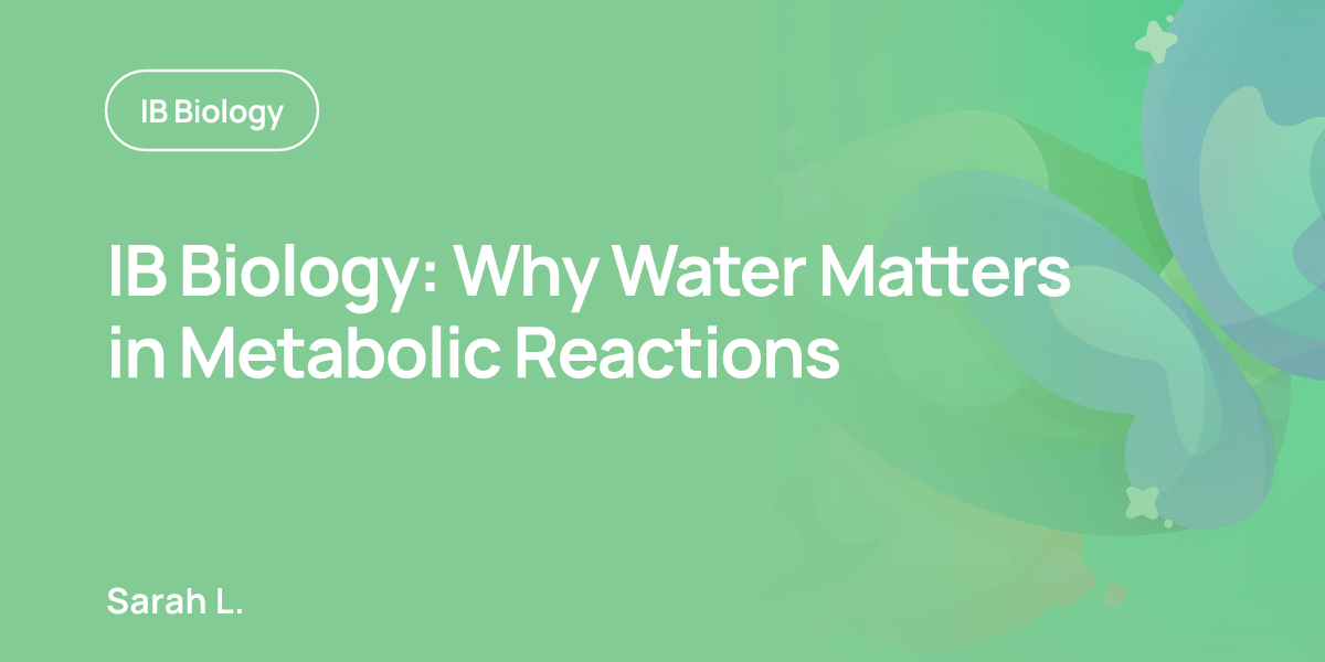 IB Biology: Why Water Matters in Metabolic Reactions