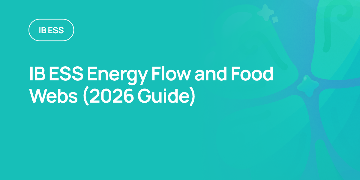 IB ESS Energy Flow and Food Webs (2026 Guide)