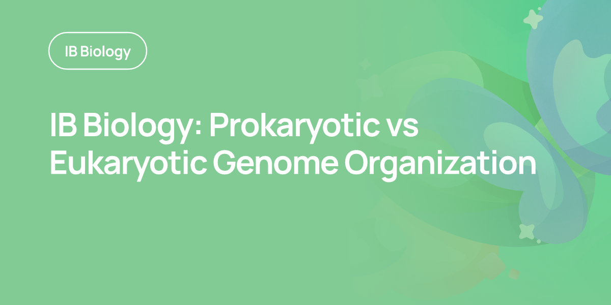 IB Biology: Prokaryotic vs Eukaryotic Genome Organization