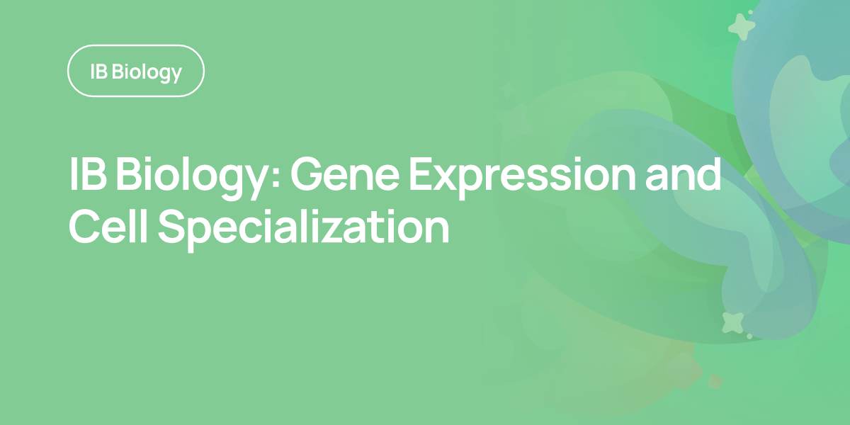 IB Biology: Gene Expression and Cell Specialization