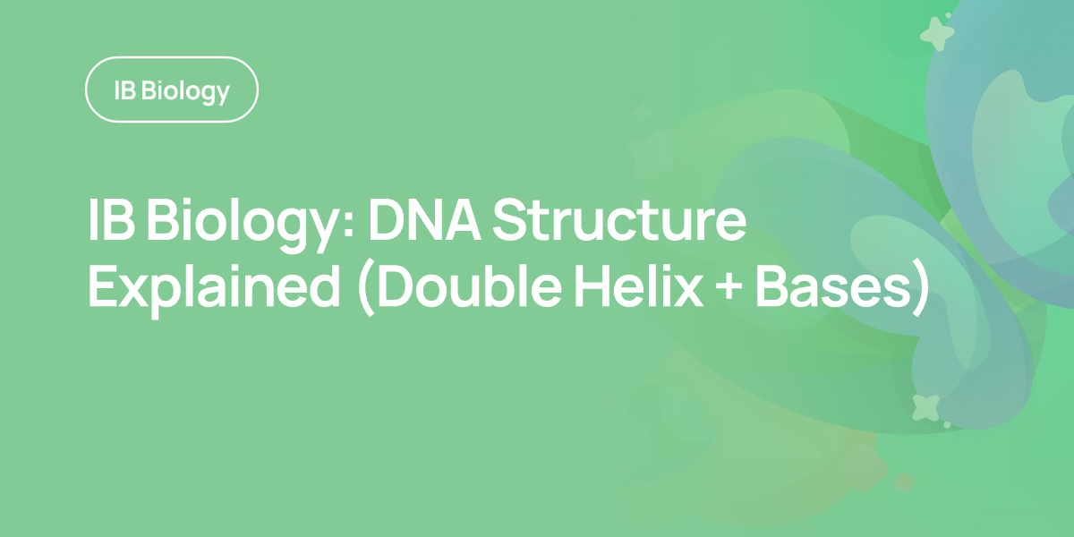 IB Biology: DNA Structure Explained (Double Helix + Bases)