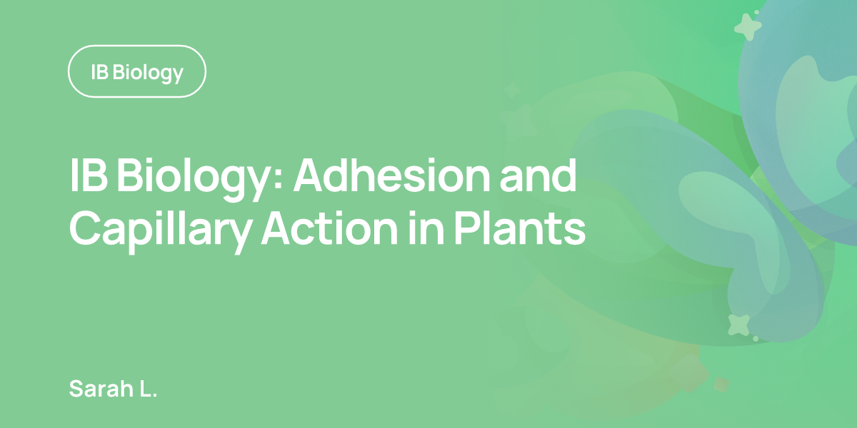 IB Biology: Adhesion and Capillary Action in Plants