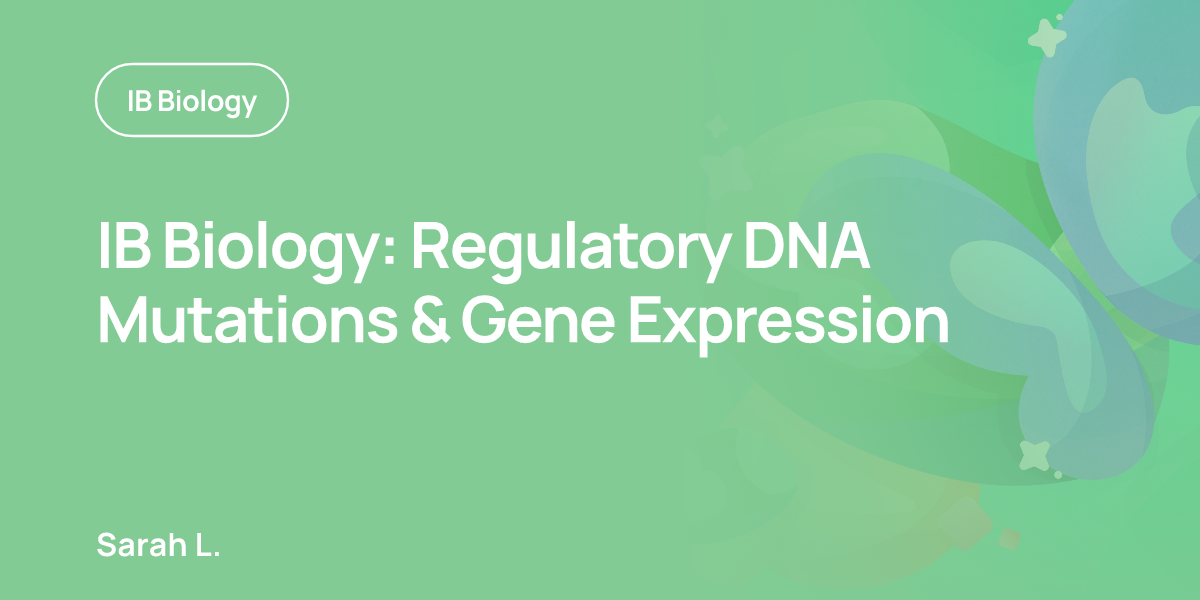 IB Biology: Regulatory DNA Mutations & Gene Expression