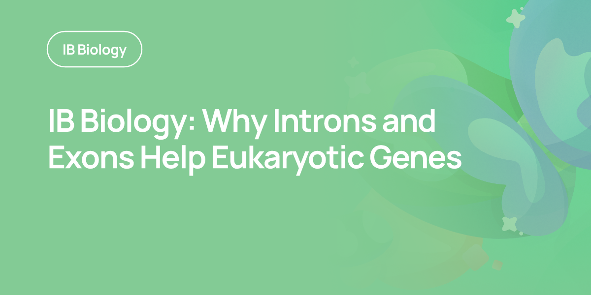 IB Biology: Why Introns and Exons Help Eukaryotic Genes