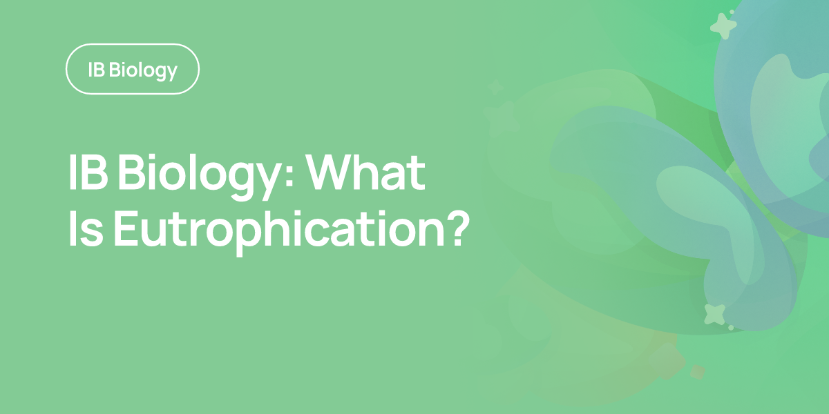 IB Biology: What Is Eutrophication?