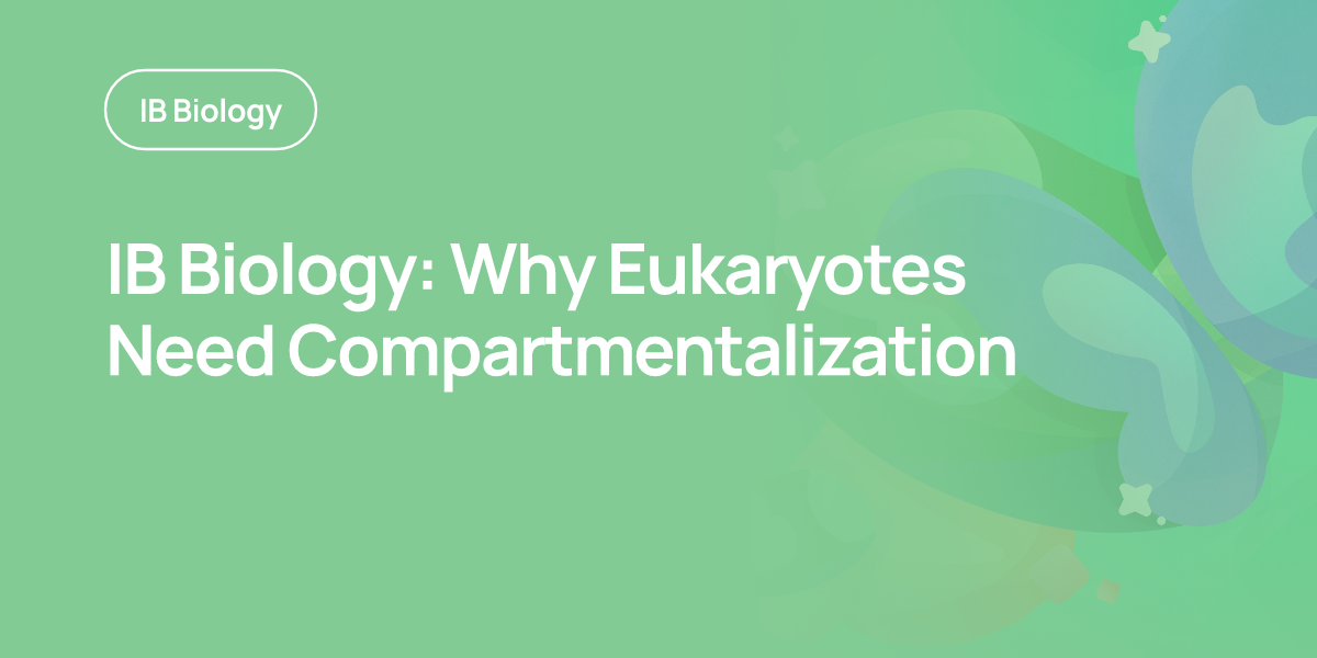 IB Biology: Why Eukaryotes Need Compartmentalization