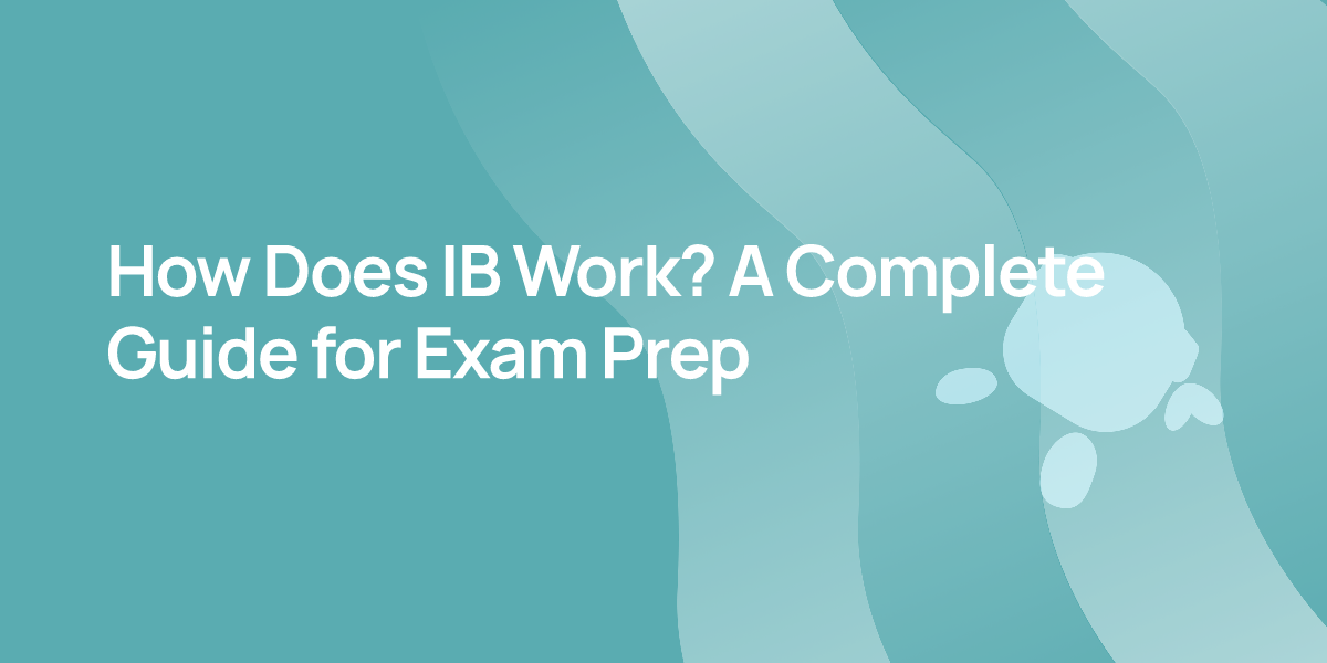 How Does IB Work? A Complete Guide for Exam Prep