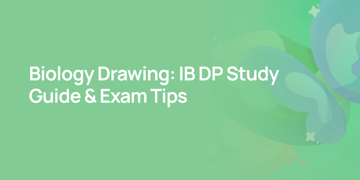 Biology Drawing: IB DP Study Guide & Exam Tips