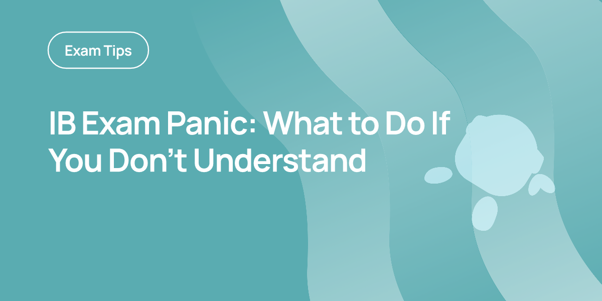 IB Exam Panic: What to Do If You Don’t Understand
