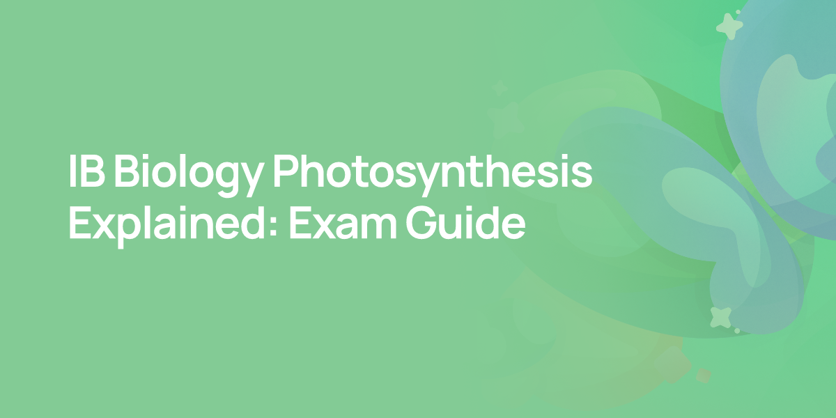 IB Biology Photosynthesis Explained: Exam Guide