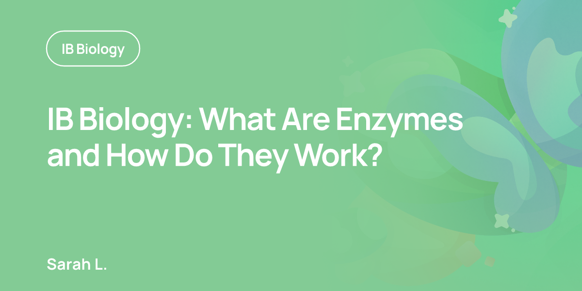 IB Biology: What Are Enzymes and How Do They Work?