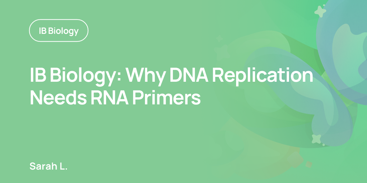 IB Biology: Why DNA Replication Needs RNA Primers