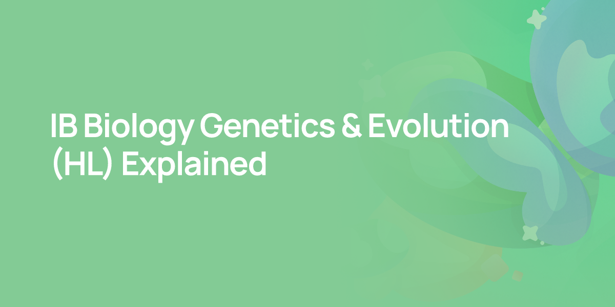 IB Biology Genetics & Evolution (HL) Explained