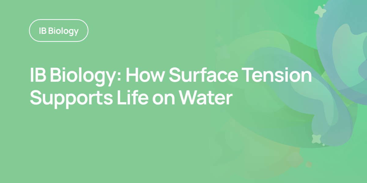 IB Biology: How Surface Tension Supports Life on Water