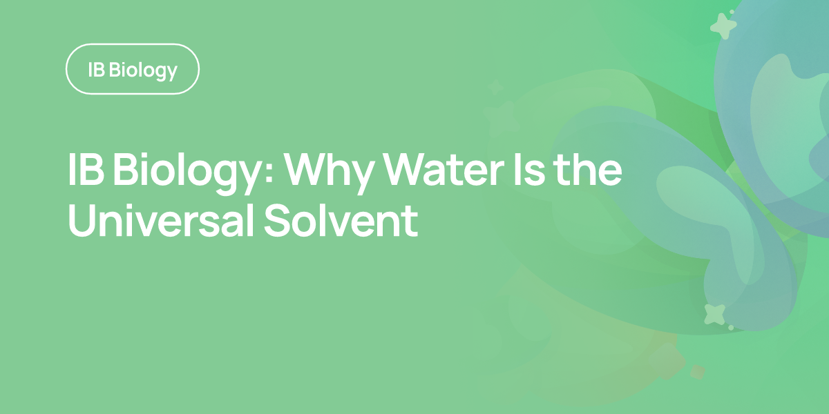 IB Biology: Why Water Is the Universal Solvent