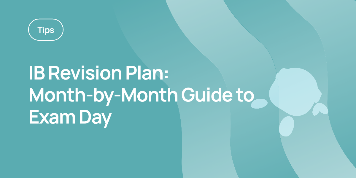 IB Revision Plan: Month-by-Month Guide to Exam Day