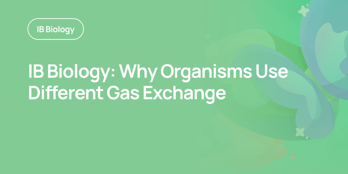 IB Biology: Why Organisms Use Different Gas Exchange