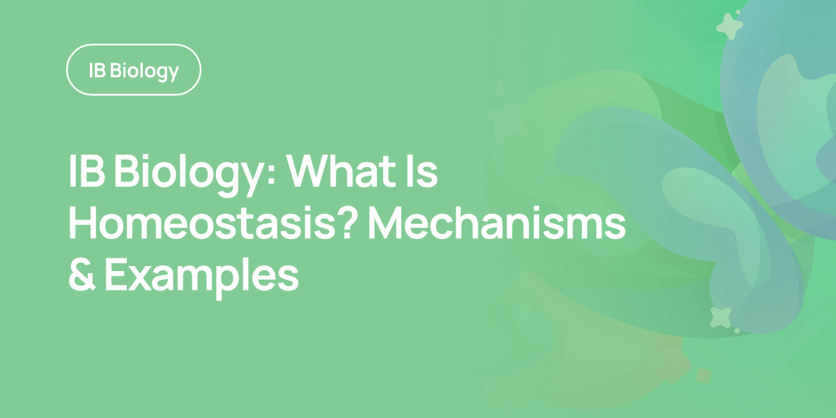 IB Biology: What Is Homeostasis? Mechanisms & Examples