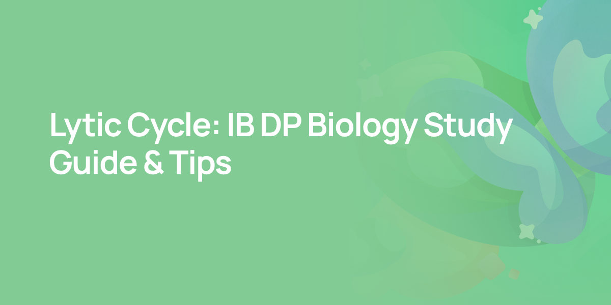 Lytic Cycle: IB DP Biology Study Guide & Tips