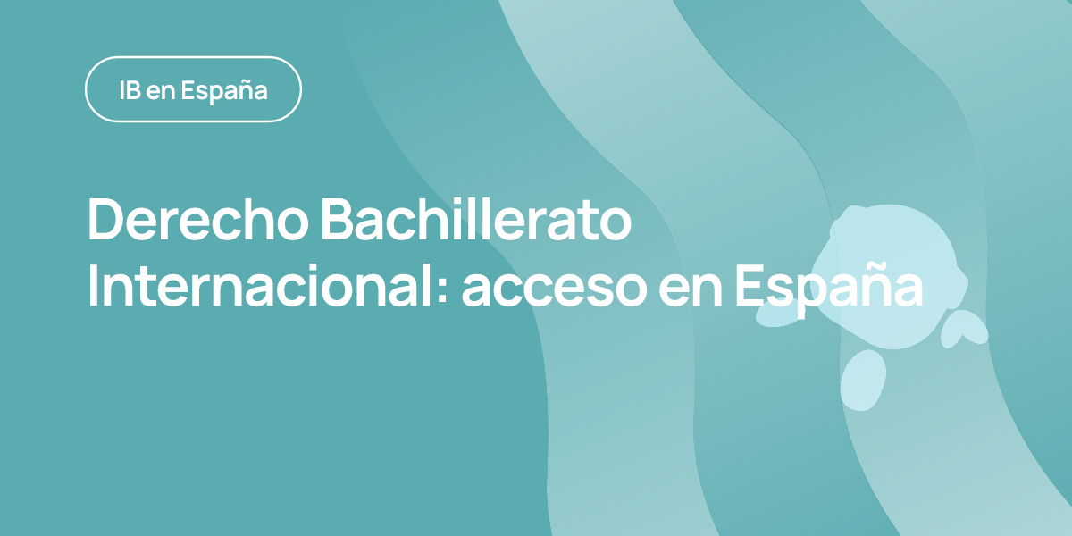 Derecho Bachillerato Internacional: acceso en España