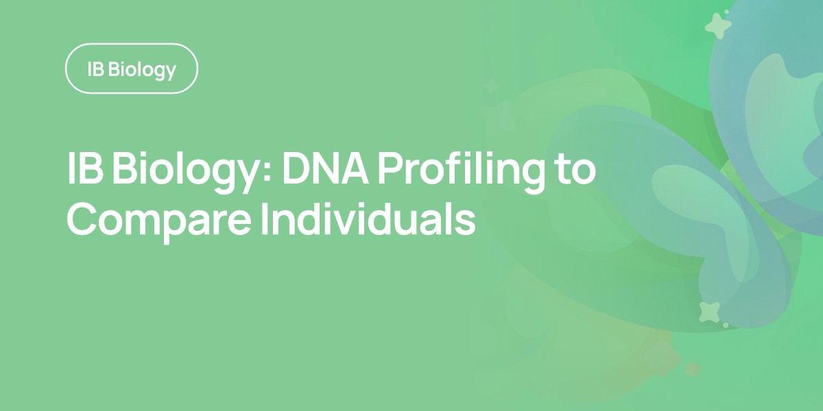 IB Biology: DNA Profiling to Compare Individuals