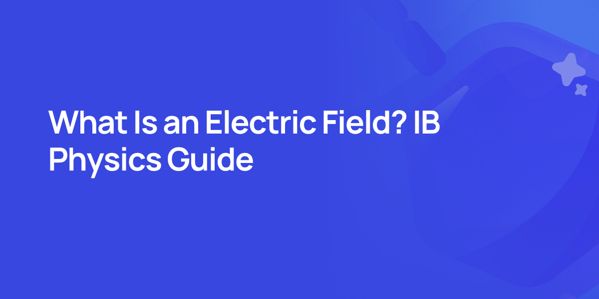 What Is an Electric Field? IB Physics Guide