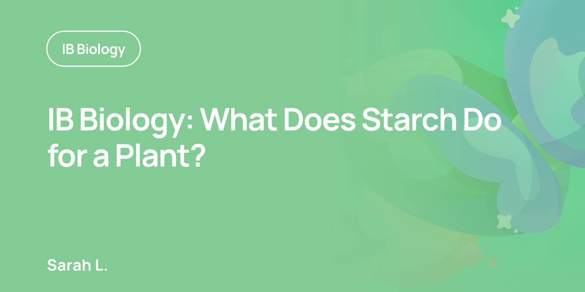 IB Biology: What Does Starch Do for a Plant?