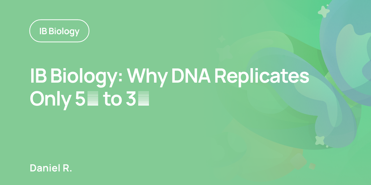 IB Biology: Why DNA Replicates Only 5′ to 3′