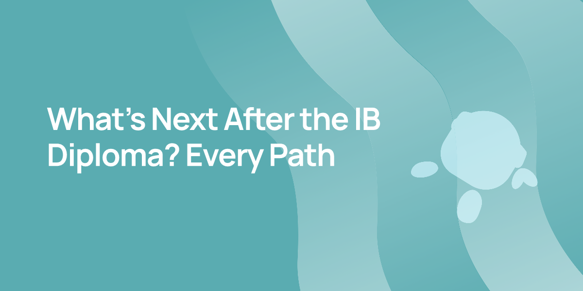 What's Next After the IB Diploma? Every Path