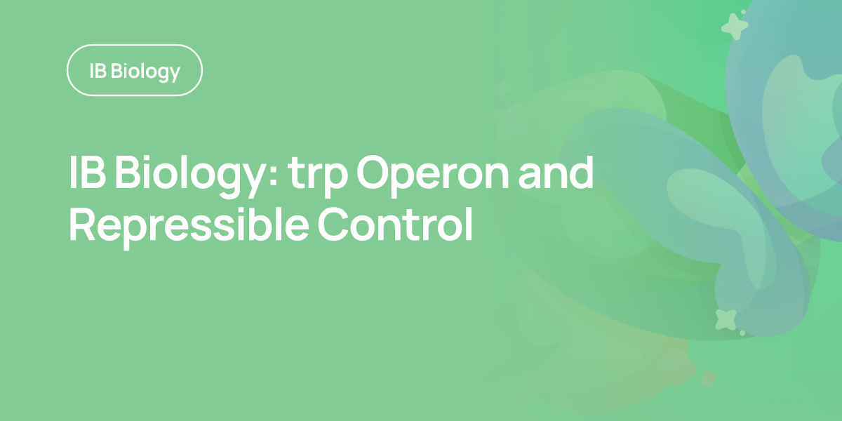 IB Biology: trp Operon and Repressible Control