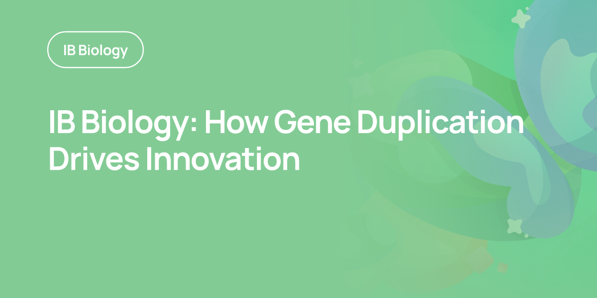 IB Biology: How Gene Duplication Drives Innovation