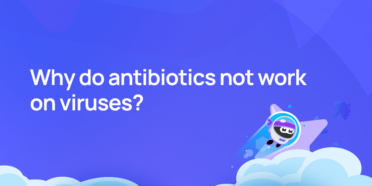 Why do antibiotics not work on viruses?