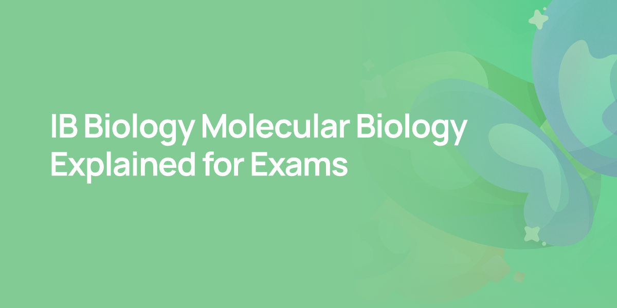 IB Biology Molecular Biology Explained for Exams
