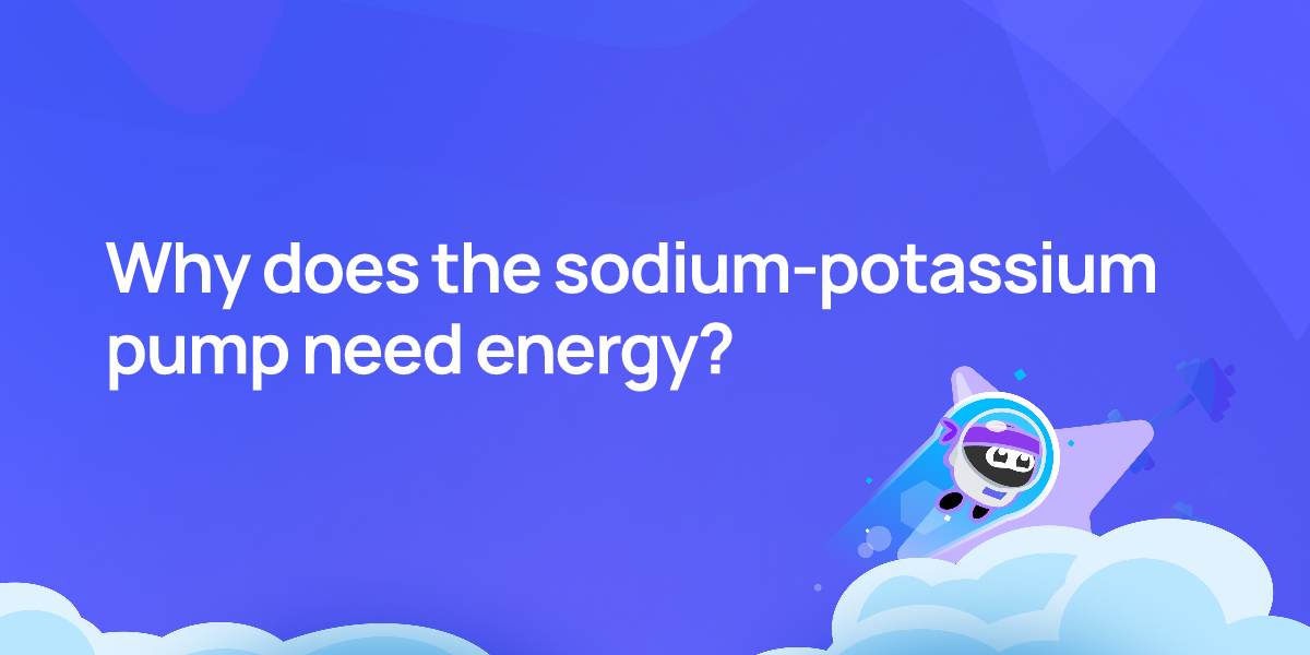 Why does the sodium-potassium pump need energy?