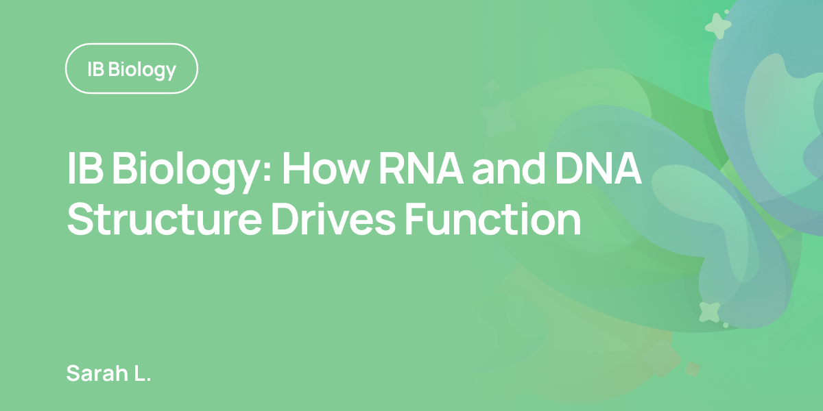 IB Biology: How RNA and DNA Structure Drives Function