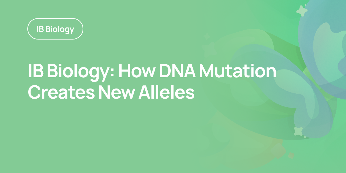IB Biology: How DNA Mutation Creates New Alleles