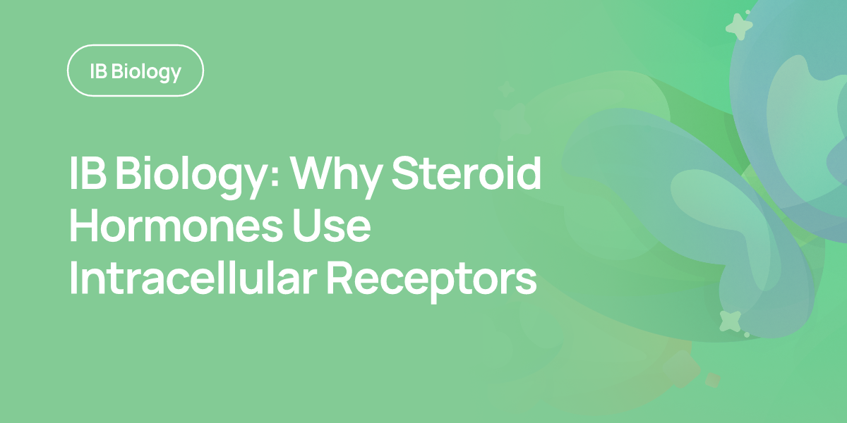 IB Biology: Why Steroid Hormones Use Intracellular Receptors