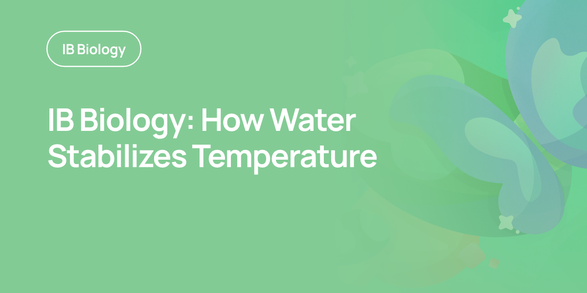 IB Biology: How Water Stabilizes Temperature