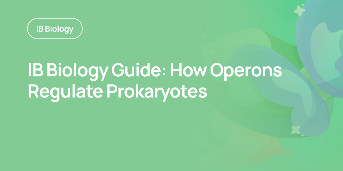 IB Biology Guide: How Operons Regulate Prokaryotes