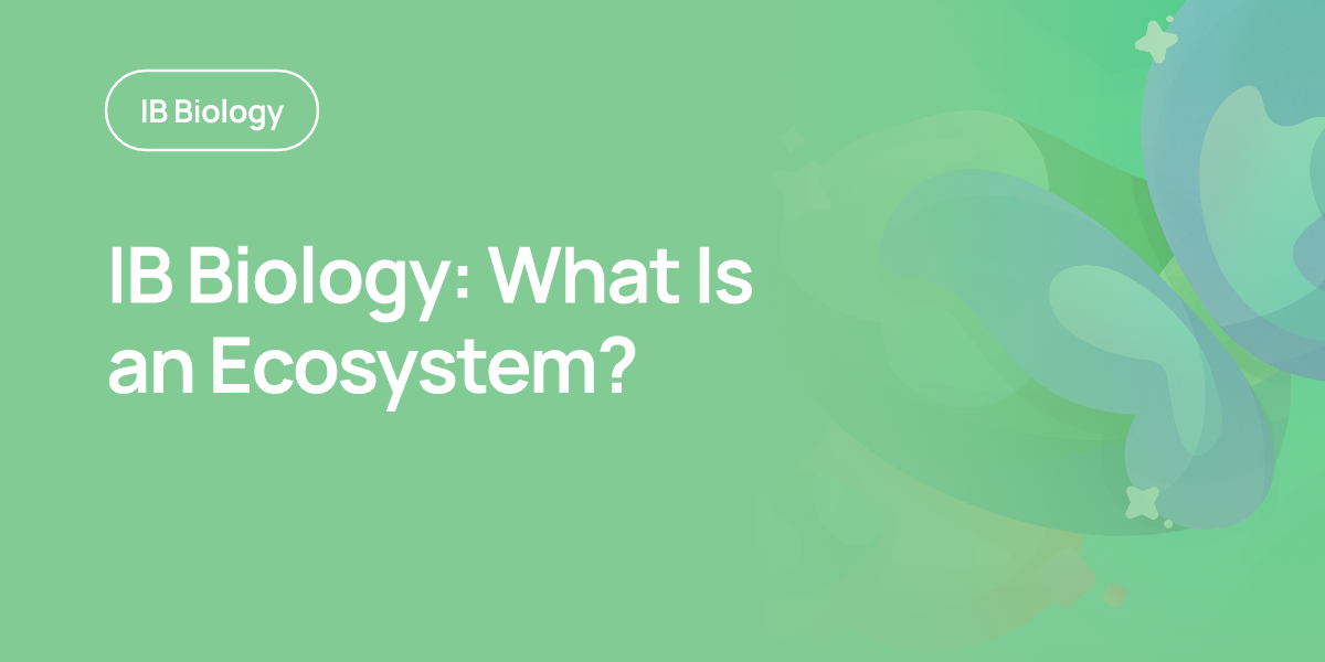 IB Biology: What Is an Ecosystem?