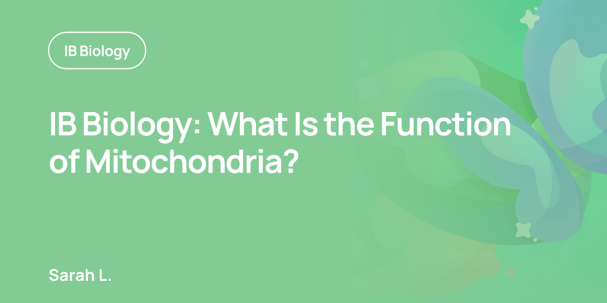 IB Biology: What Is the Function of Mitochondria?